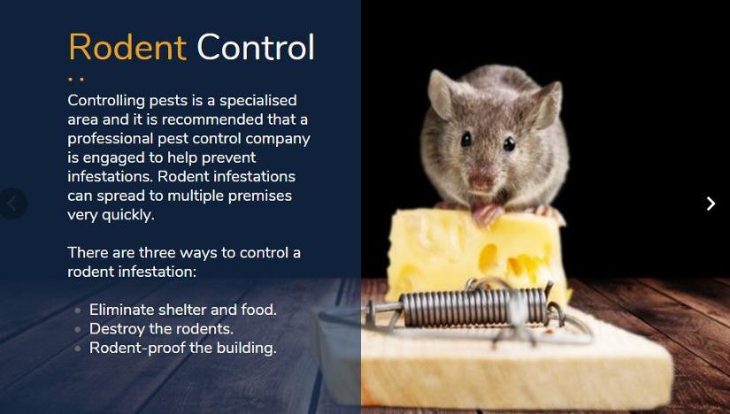 Food Safety - Level 2  (Principles of HACCP).