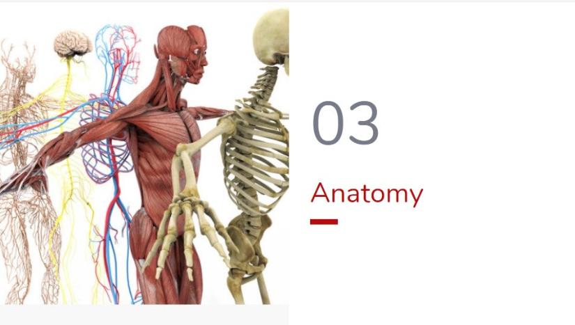 Manual Handling