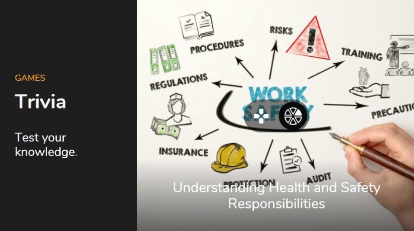 Introduction To Safety Statements